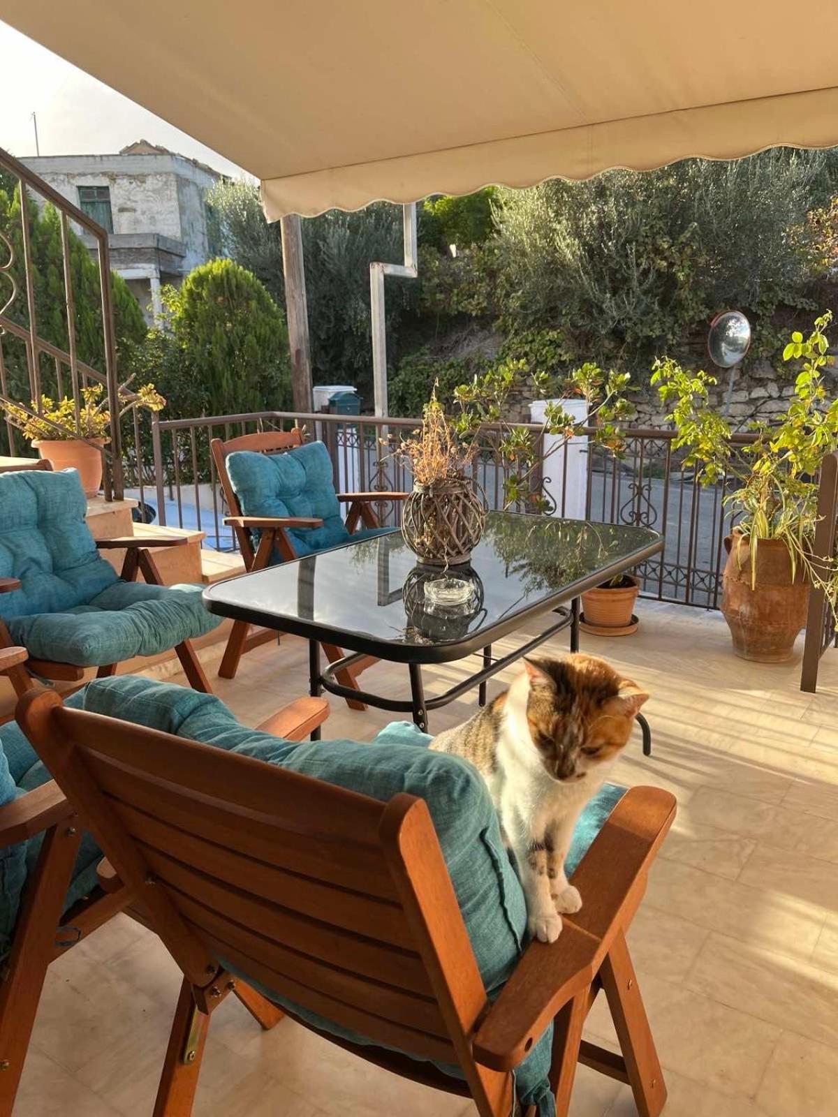 Villa Achilleas Deluxe Αpartment -Pet Friendly-Parking-Mountain View Kotsianá Exterior foto